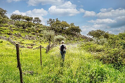 Porto & Douro Valley (Signature Trails)
