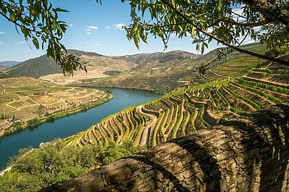 Porto & Douro Valley (Signature Trails)