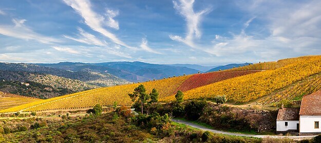 Porto & Douro Valley (Signature Trails)