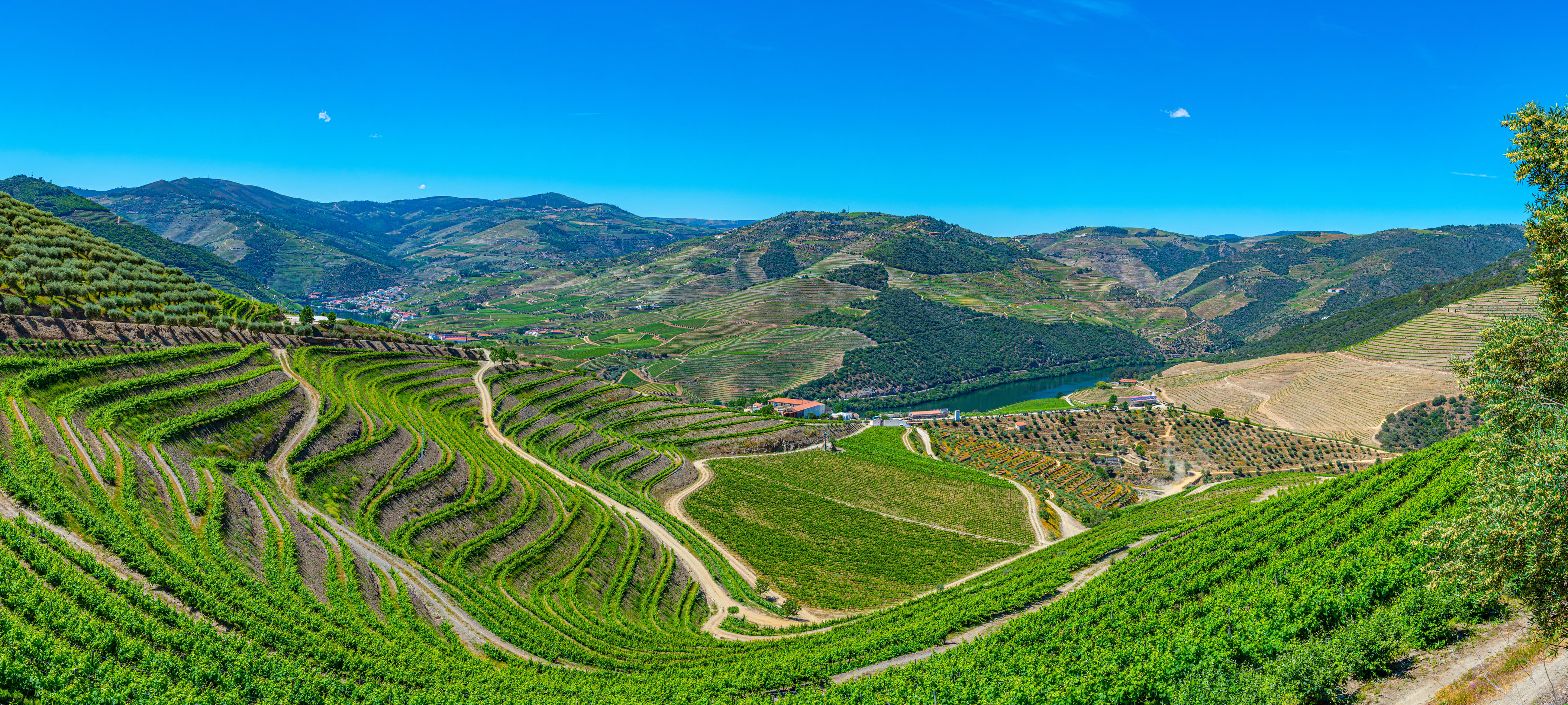 porto & douro valley (signature trails) hillwalk tours