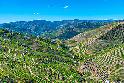 Porto & Douro Valley (Signature Trails)
