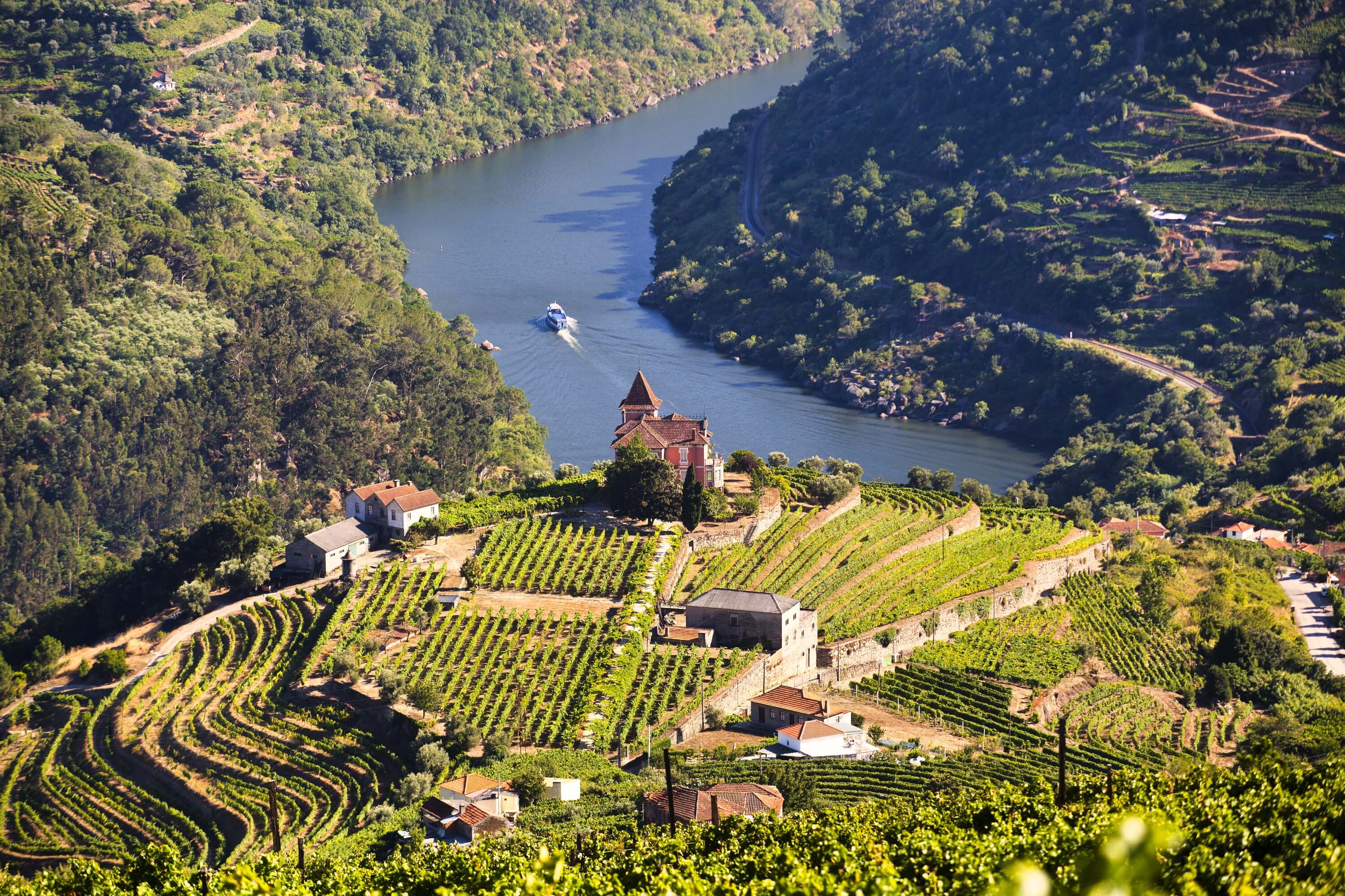 view of douru river with cruise ship and vineyard dreamstime xxl 34595743