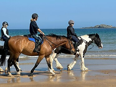 Antrim Glens & Causeway Coast