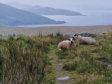 Beara Way