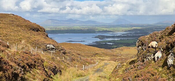 Connemara & the West of Ireland