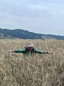 Cotswold Way