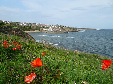 Fife Coastal Path