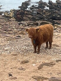 Fife Coastal Path