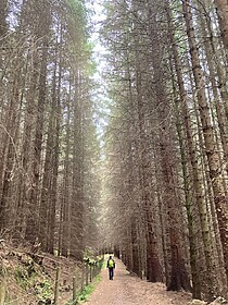 Great Glen Way & Loch Ness