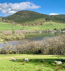 Great Glen Way & Loch Ness