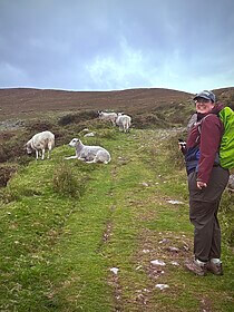 Kerry Way
