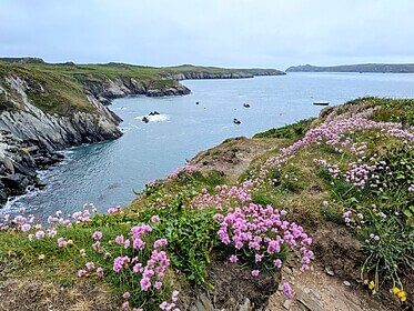 Pembrokeshire Coast Path