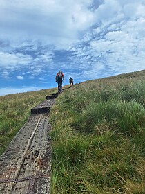 Wicklow Way & Glendalough Trails