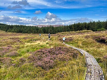 Wicklow Way & Glendalough Trails
