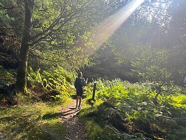 Wicklow Way & Glendalough Trails