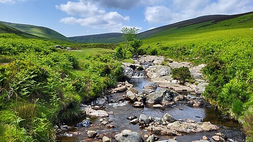 Wicklow Way & Glendalough Trails