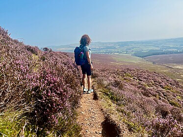 Wicklow Way & Glendalough Trails