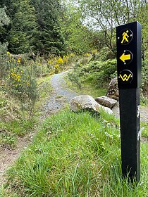 Wicklow Way & Glendalough Trails