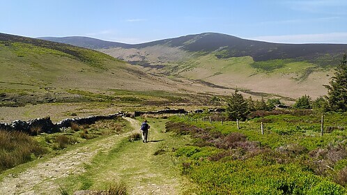 Wicklow Way & Glendalough Trails
