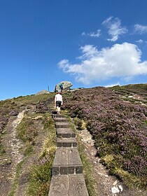 Wicklow Way & Glendalough Trails