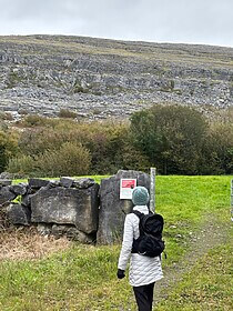 Burren Way & Cliffs of Moher