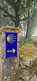 Camino Frances