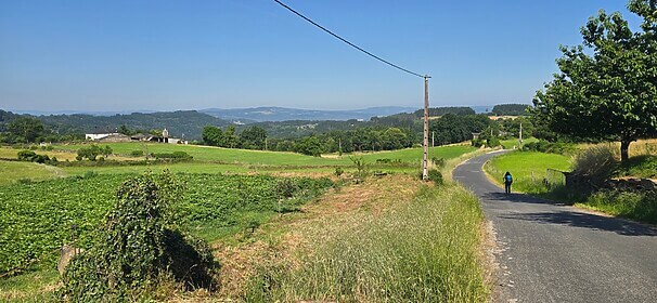 Camino Frances