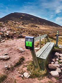 Kerry Camino