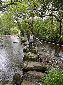 Kerry Camino