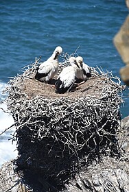 Rota Vicentina (Fishermen’s Trail)