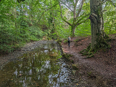 South Downs Way