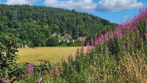 Speyside Way (The Whisky Trail)