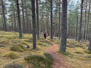 Speyside Way (The Whisky Trail)