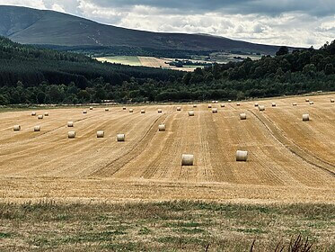 Speyside Way (The Whisky Trail)
