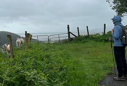 Kerry Camino