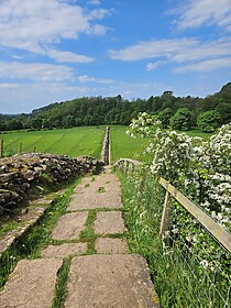 Hadrian’s Wall Path (East to West)