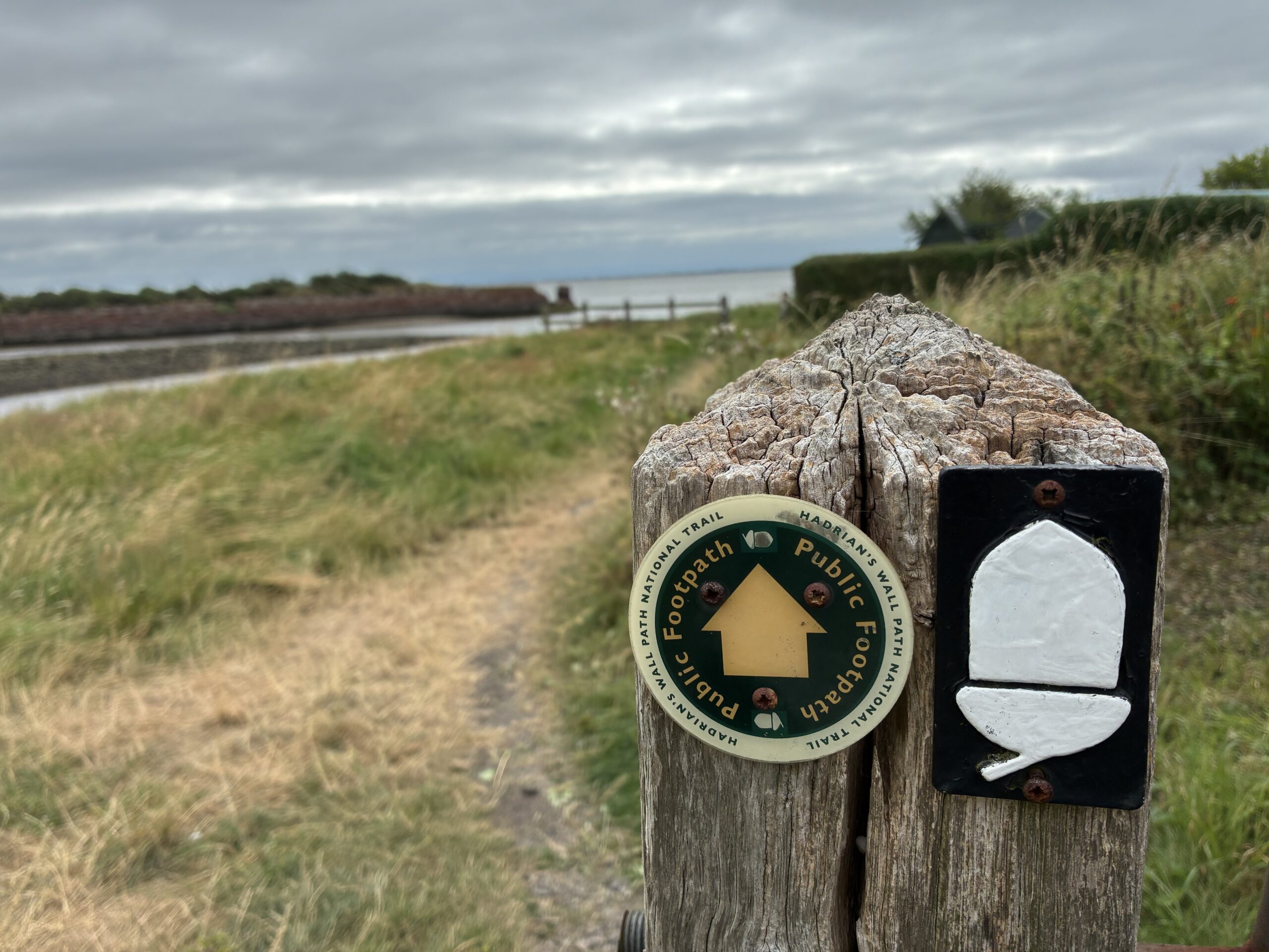 hwp acorn waymark img 7697
