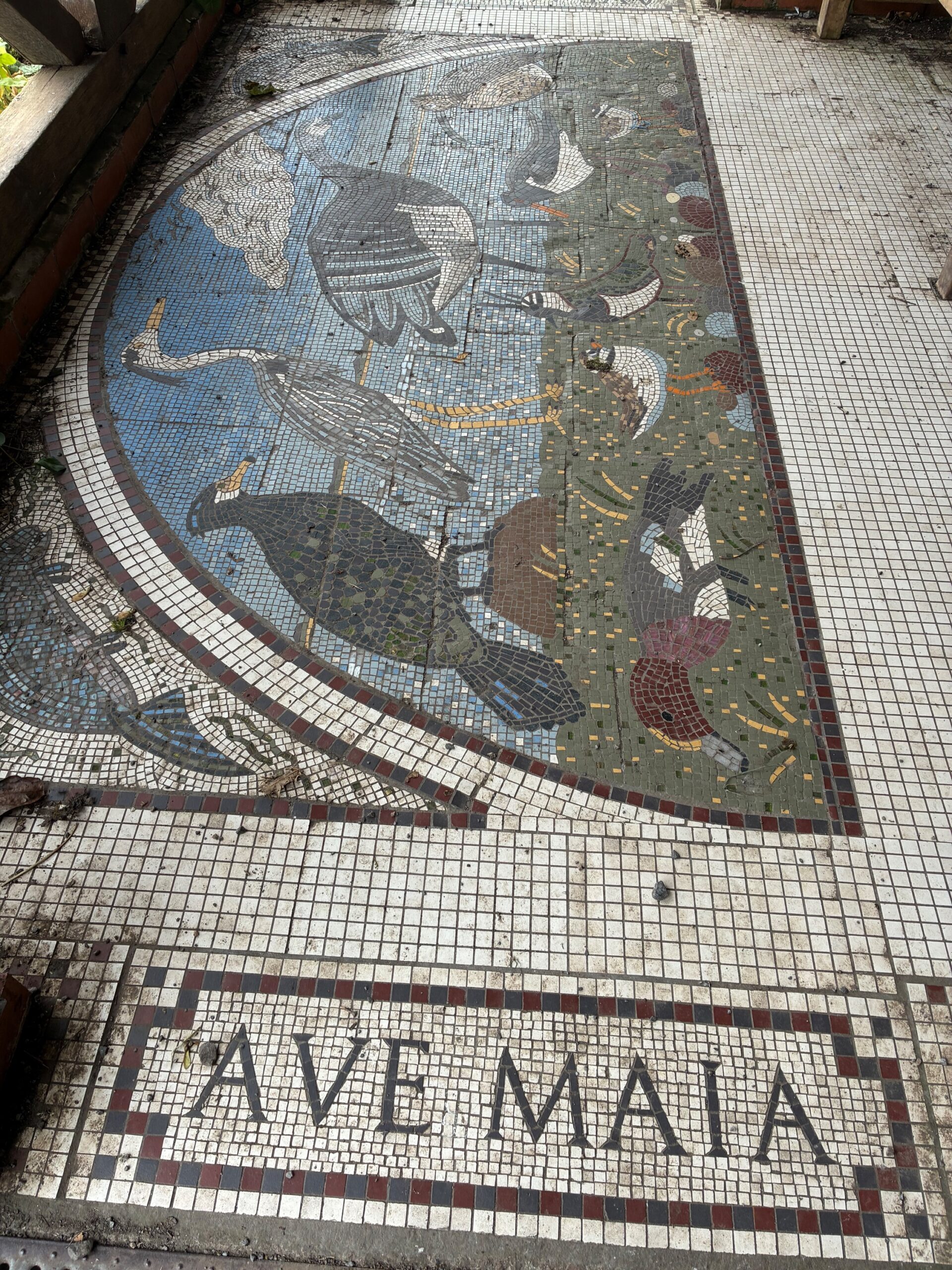 hwwe ave maia mosaic img 7673