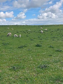 Hadrian’s Wall Path (East to West)