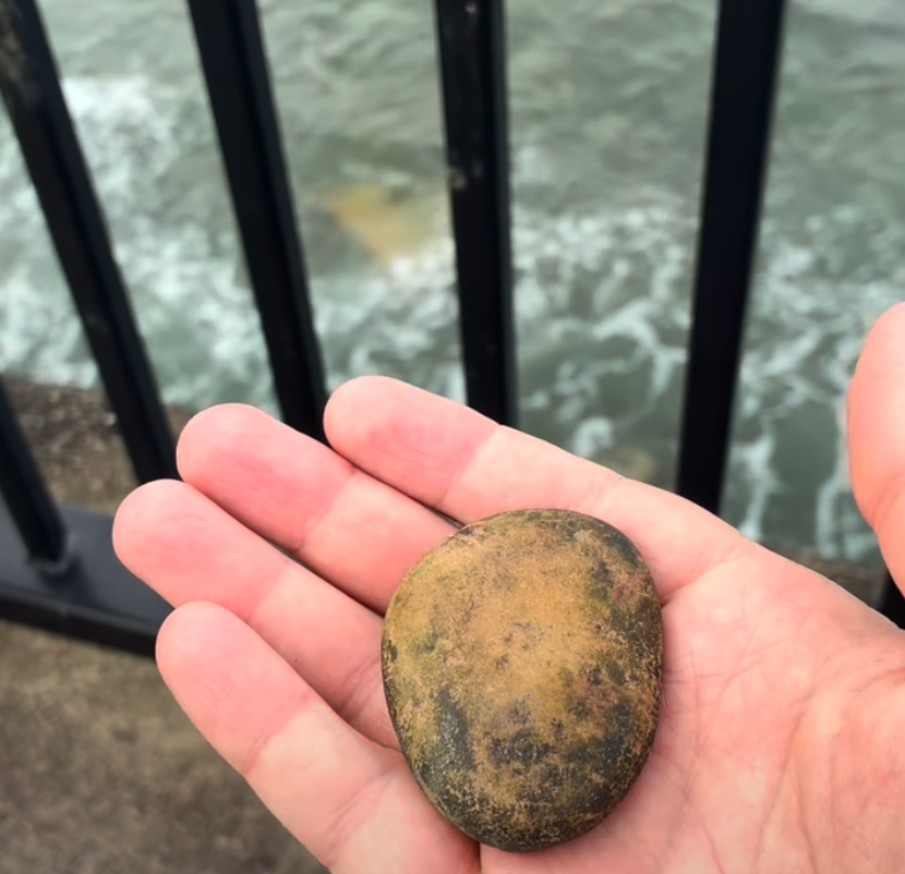 A memento of a journey from coast to coast. A pebble from near Bowness on Solway ready to be ceremoniously tossed into the north sea after its long journey - Hillwalk Tours