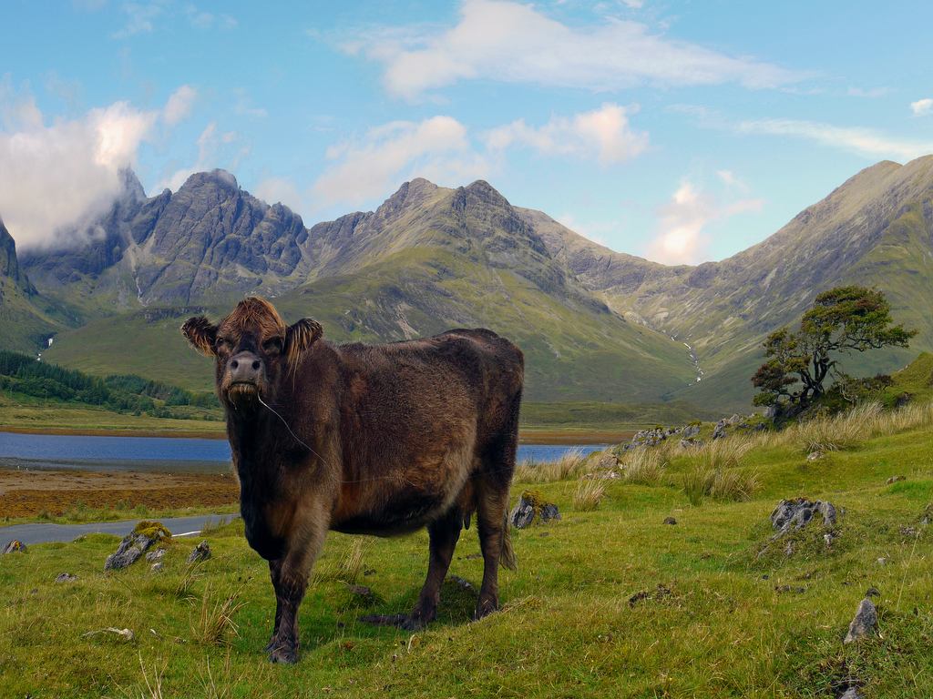 Top 10 bezienswaardigheden Schotland isle of Skye