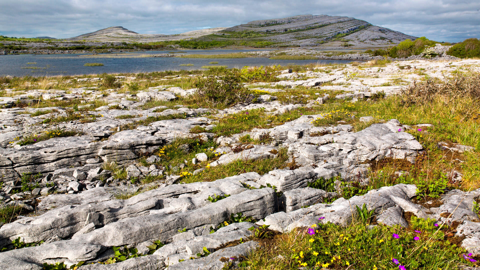 Karstlandschaft und See im Burren
