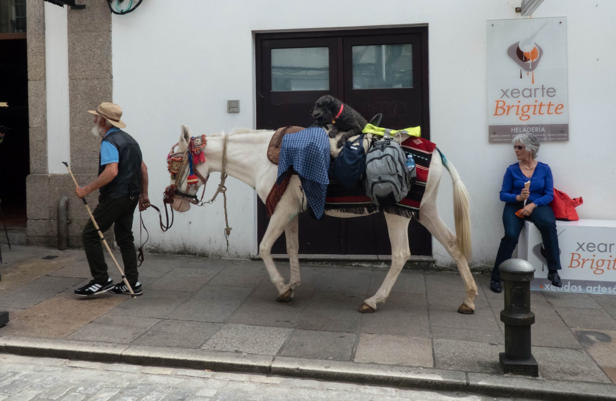 Pilger mit Pferd auf dem Jakobsweg in Santiago de Compostela