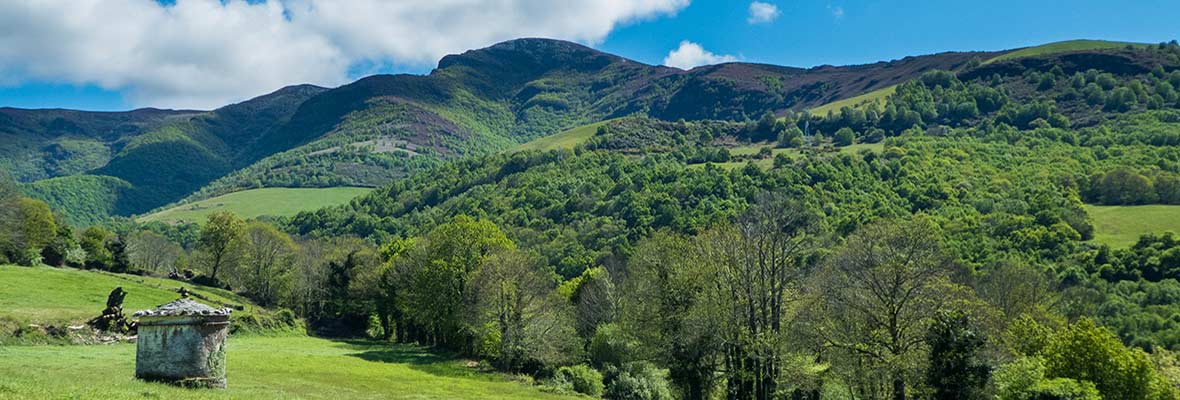 A Camino de Santiago picture of the countryside