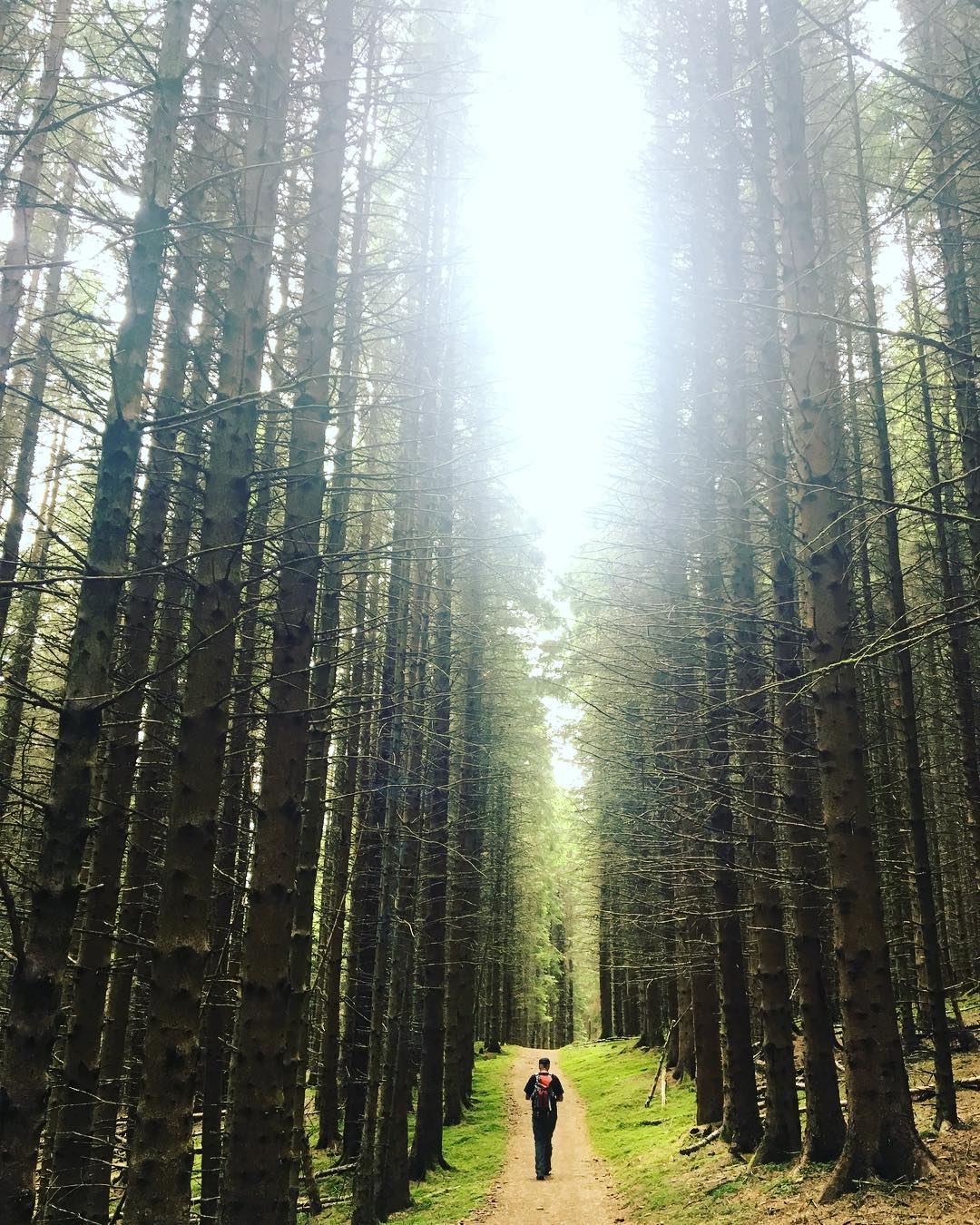 Great_Glen_Way_Hillwalk_Tours