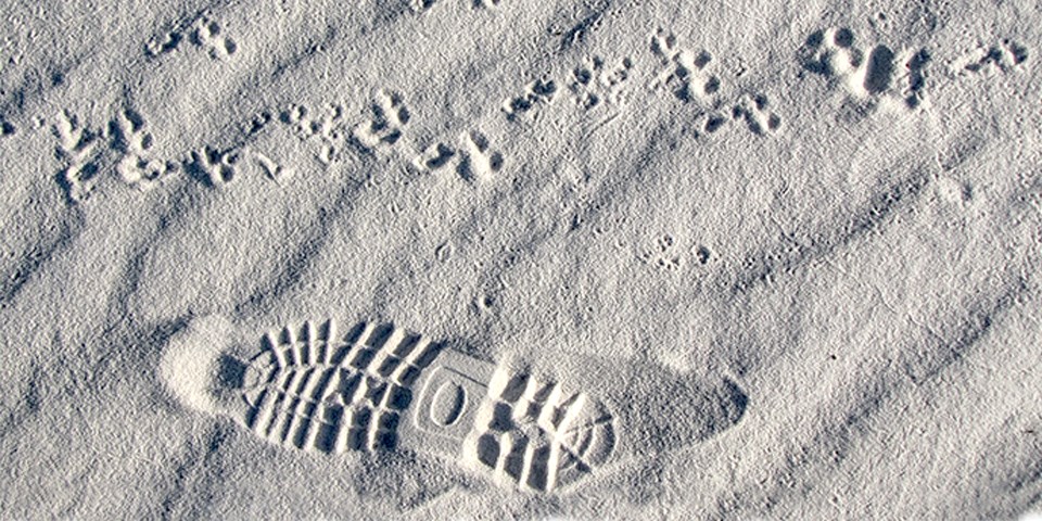 Leave No Trace - except for footprints